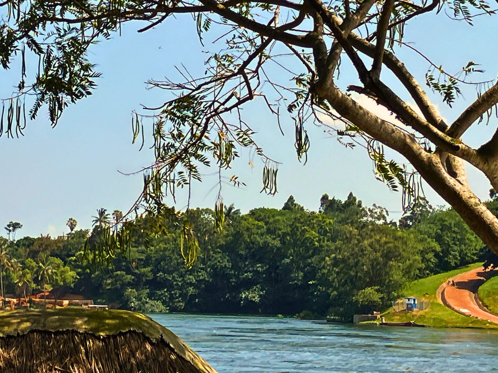 The Nile River in Jinja, Uganda