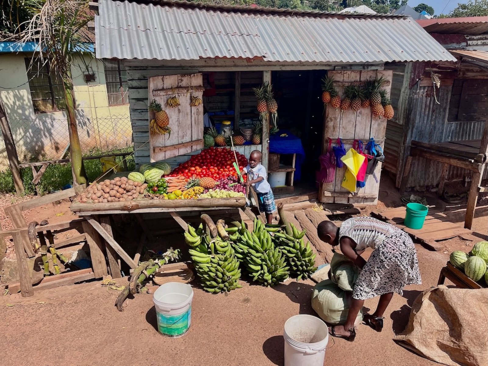 A lively outdoor market scene featuring a diverse array of fresh fruits and vegetables available for sale.