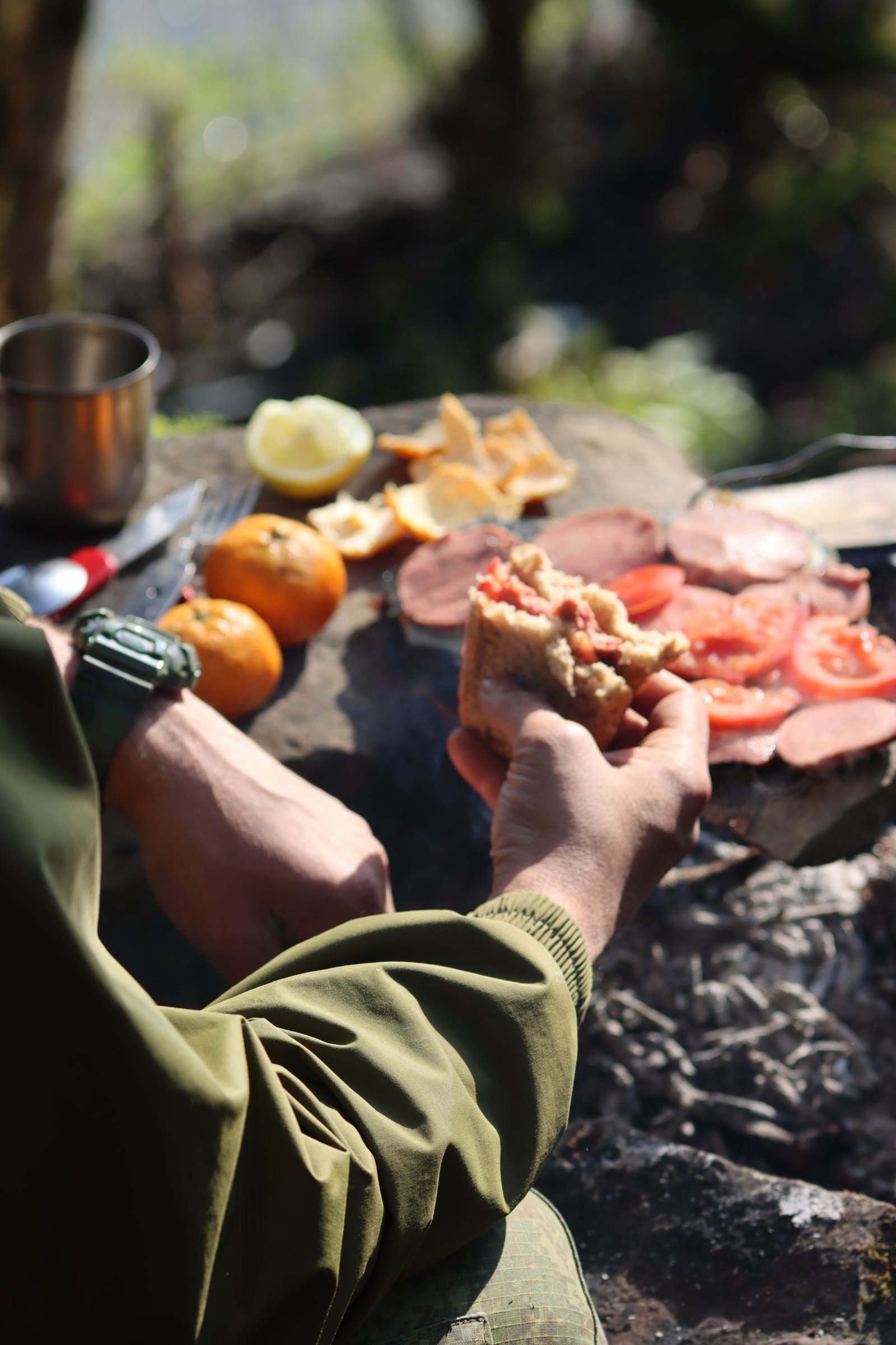 A person enjoys a picnic outdoors holding a sandwich with fresh fruits nearby.